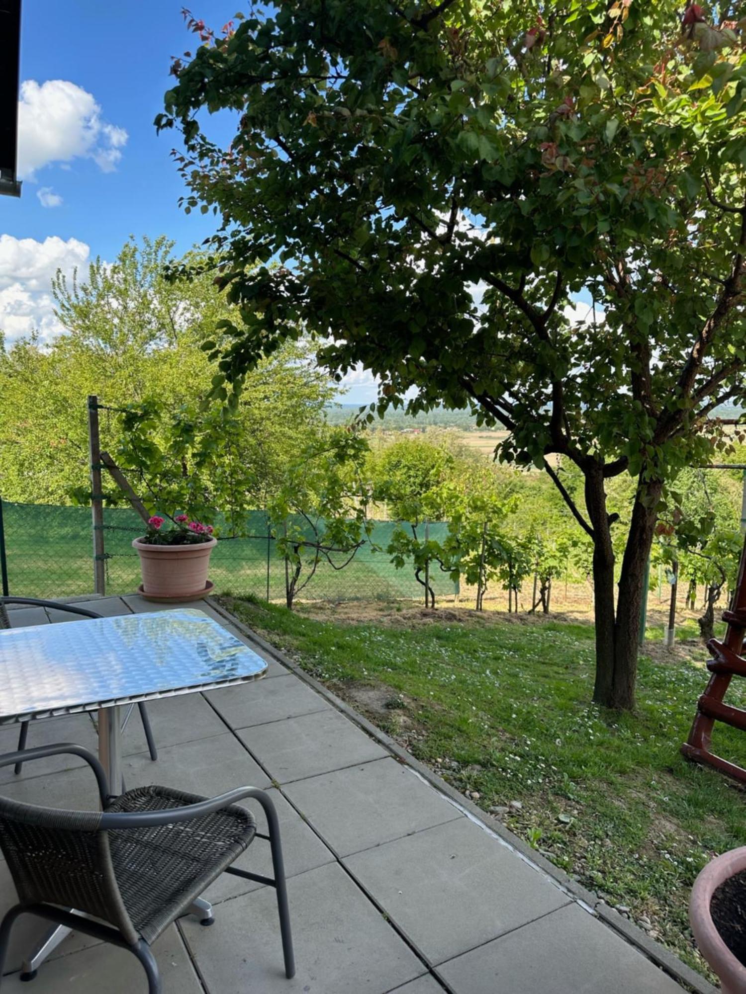 Kuca Za Odmor Mare Villa Sveti Martin Na Muri Exterior photo